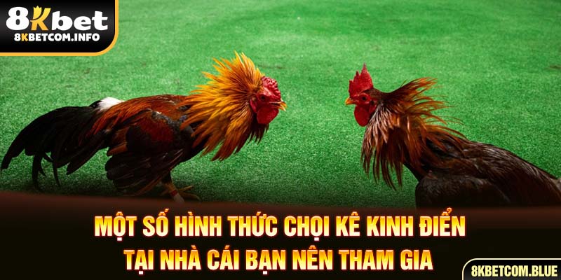 Một số hình thức chọi kê kinh điển tại nhà cái bạn nên tham gia 