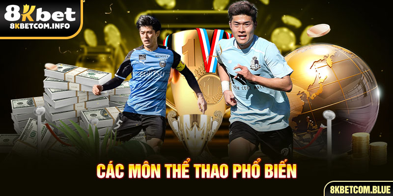 Các môn thể thao phổ biến