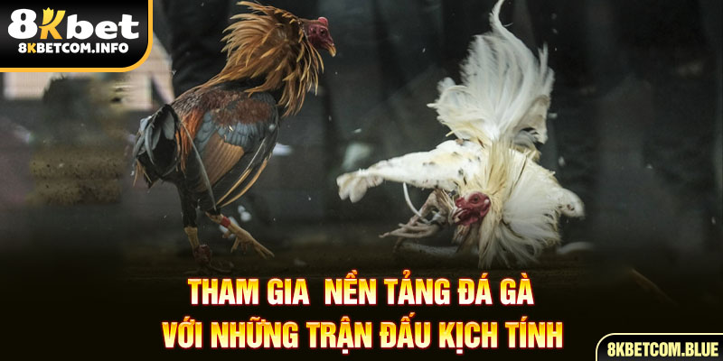 Tham gia nền tảng đá gà với những trận đấu kịch tính