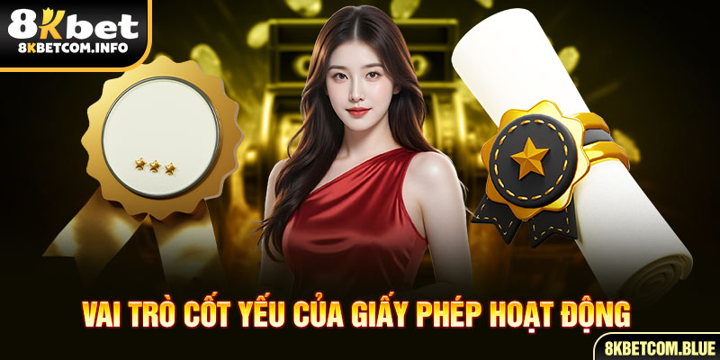 Vai trò cốt yếu của giấy phép hoạt động 