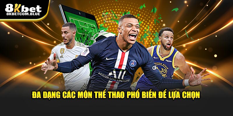 Đa dạng các môn thể thao phổ biến để lựa chọn