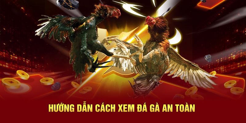 Hướng dẫn cách xem đá gà an toàn