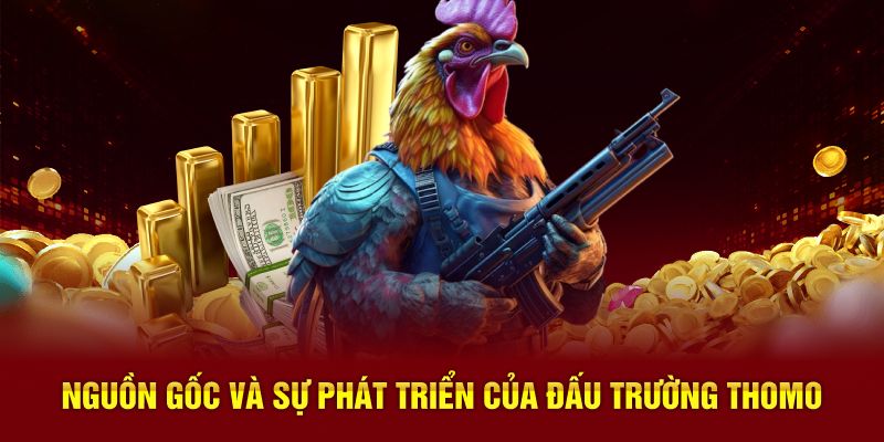 Nguồn gốc và sự phát triển của đấu trường Thomo