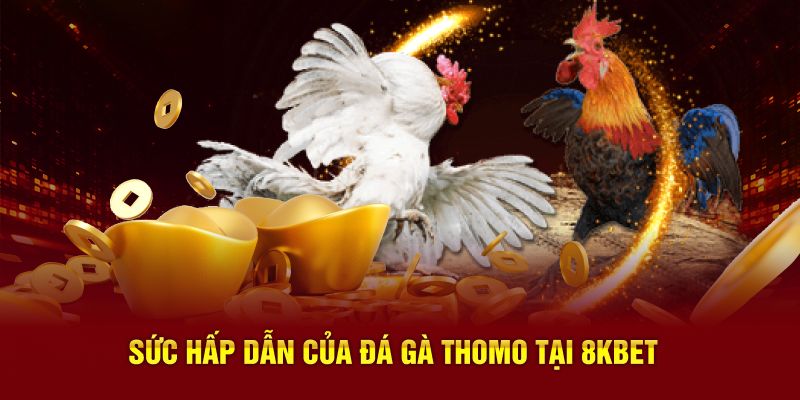 Sức hấp dẫn của đá gà Thomo tại 8KBET